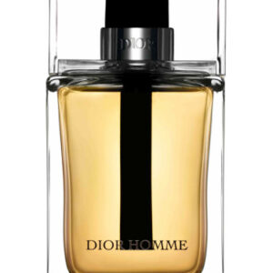 Homme Dior