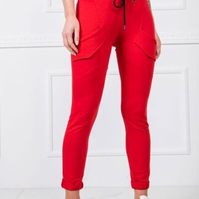 Tracksuit trousers model 166221 BFG