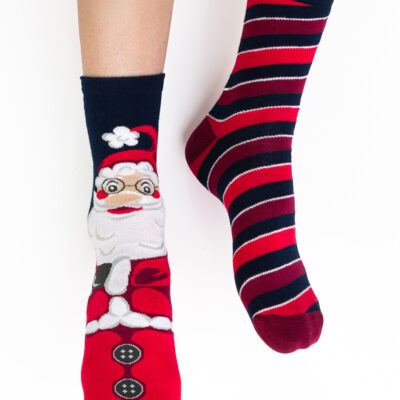 Socks model 173247 Steven