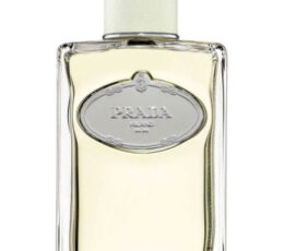 Infusion d'Iris Prada