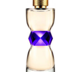 Manifesto Yves Saint Laurent