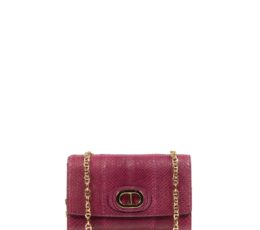 Firenze Python Clutch