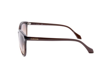 p-101377-calvin-klein-collection-womens-sunglasses-ck19534s-210-58-14-140-crystal-brown-177362408