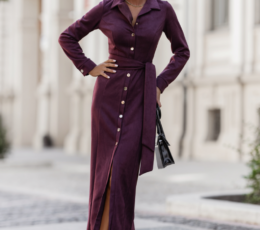 ILYA Dress - Burgundy